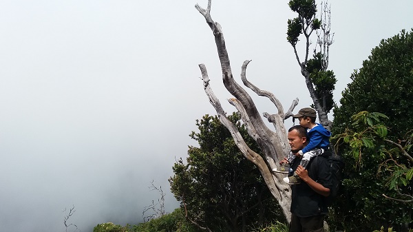 Sesekali kabut menyelimuti pandangan. Tapi dengan begitu kita berasa berada di atas awan :)