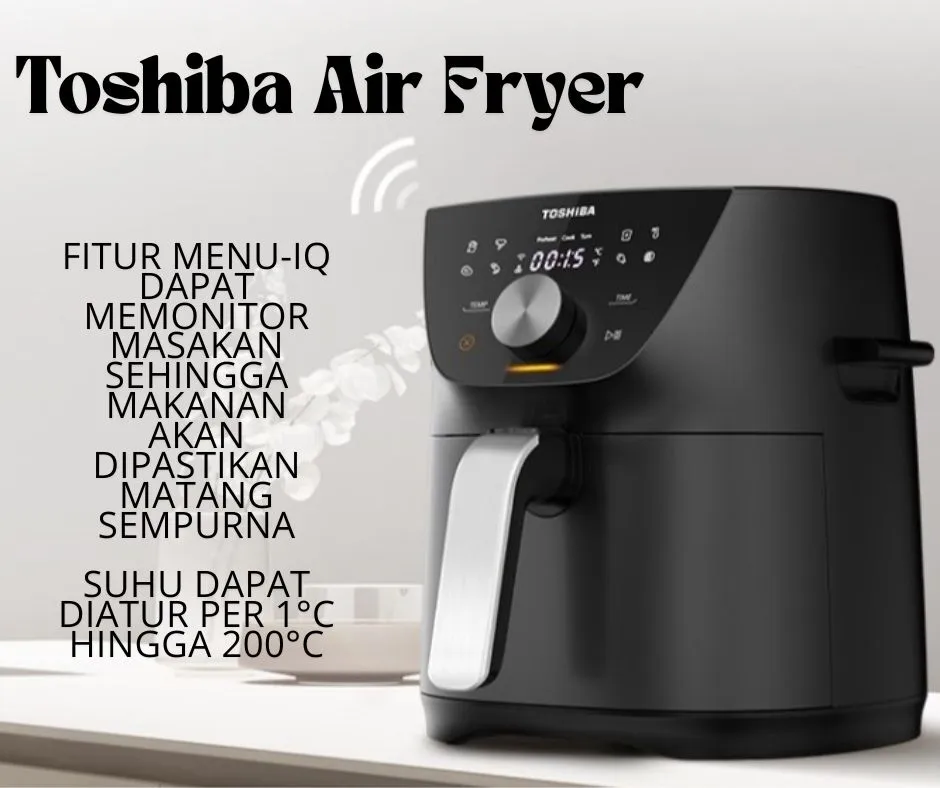 Air fryer Toshiba