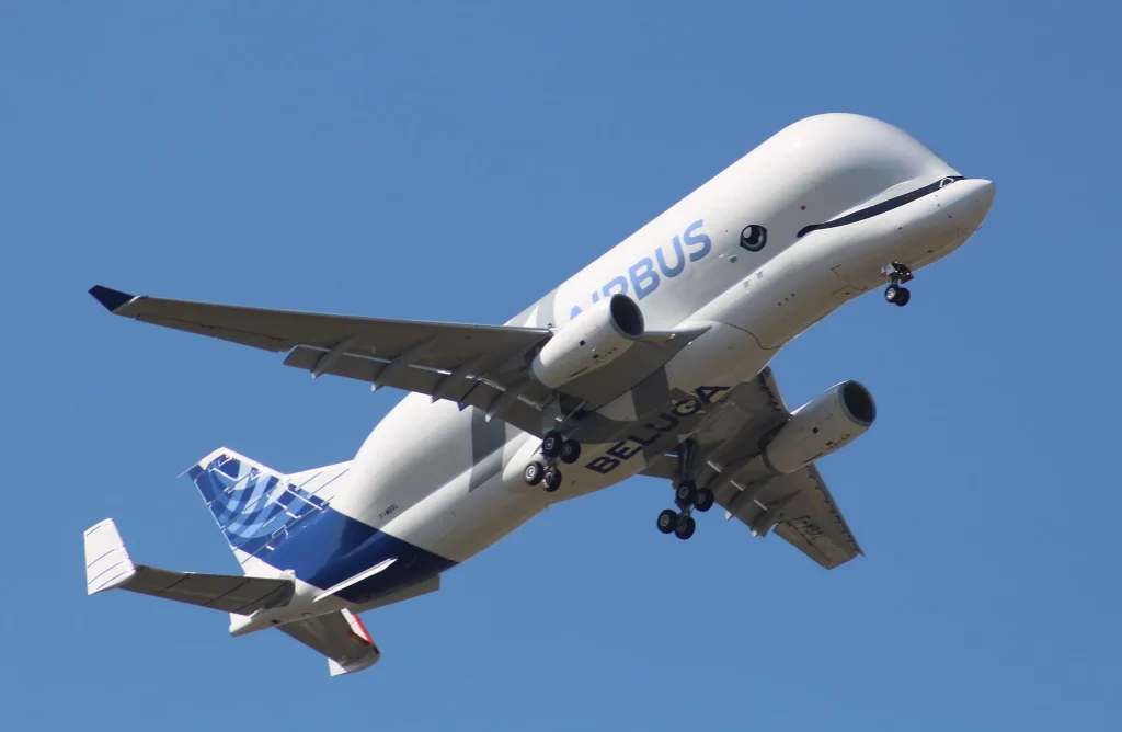 Beluga Airbus 