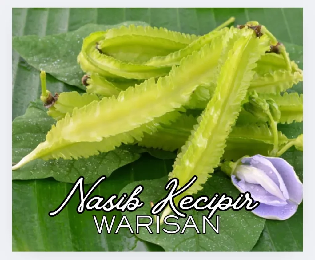 Nasib Kecipir Warisan 