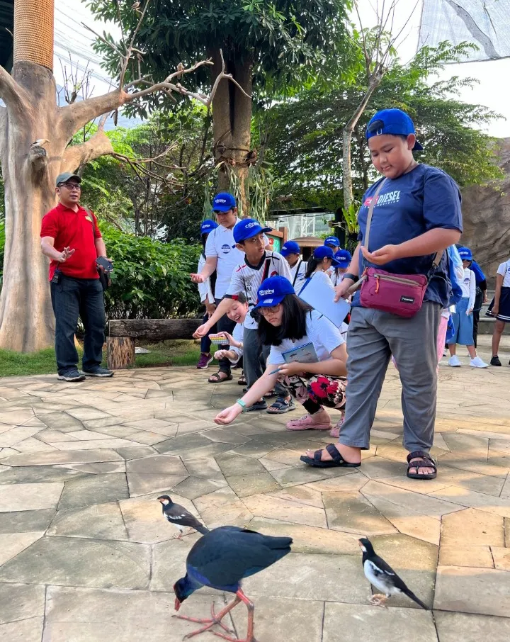 Memberi makan burung