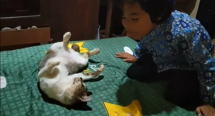 Hewan peliharaan Fahmi di rumah